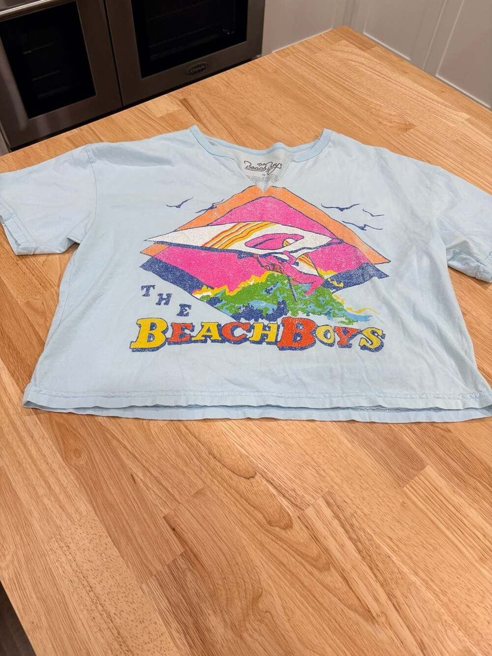The Beach Boys Graphic Print Cropped T-Shirt Light Blue